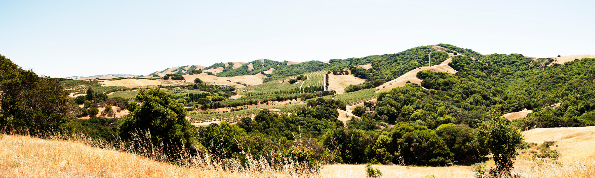 Panorama of Petaluma Valley