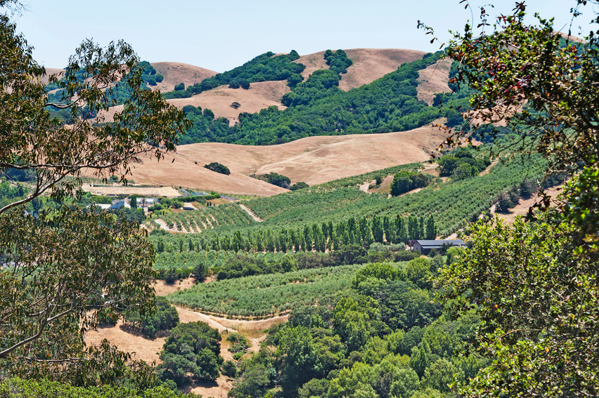 Petaluma Valley Views